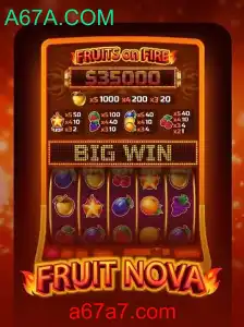 Descubra o Fascinante Mundo de FruitNova e A67A.COM